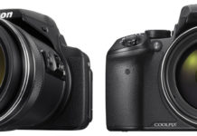 Die neue Nikon COOLPIX P900: Ideal für die Naturfotografie Nikon COOLPIX P900