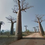 Google_Madagaskar